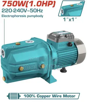 Water Pump Self-Priming Jet Pump 750w(1.0hp) Max.Head:51m Twp37506