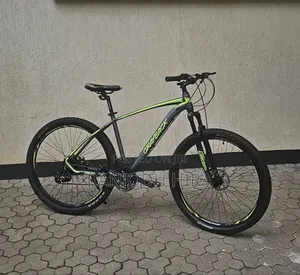 Mountain Bicycle