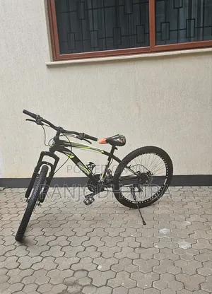 Mountain Bicycle