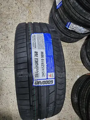 245/45r19 Goddard