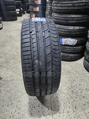 245/45r19 Goddard