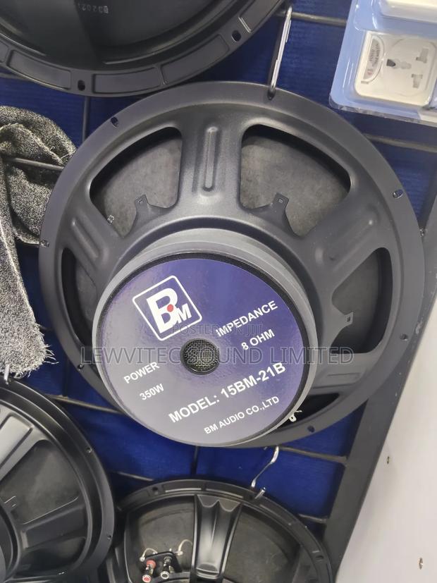 Bm 15 Inch Speaker
