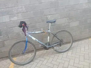 Bicycle Beijing