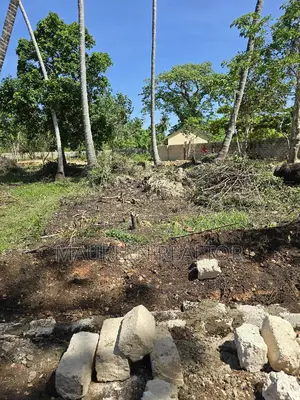 50×100 Plots -Galu Diani