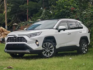 Toyota RAV4 XLE Premium AWD 2019 Pearl