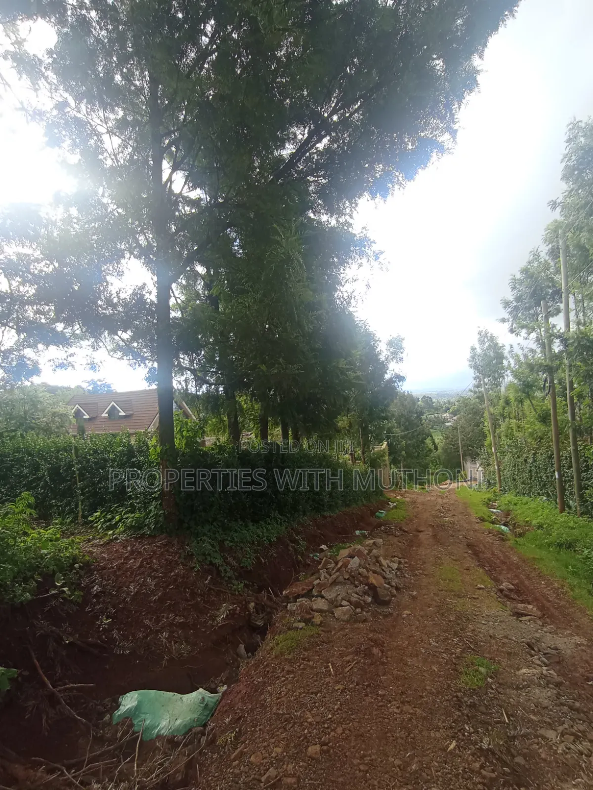50×100 Plots for Sale in Lemiso Road, Ngong.