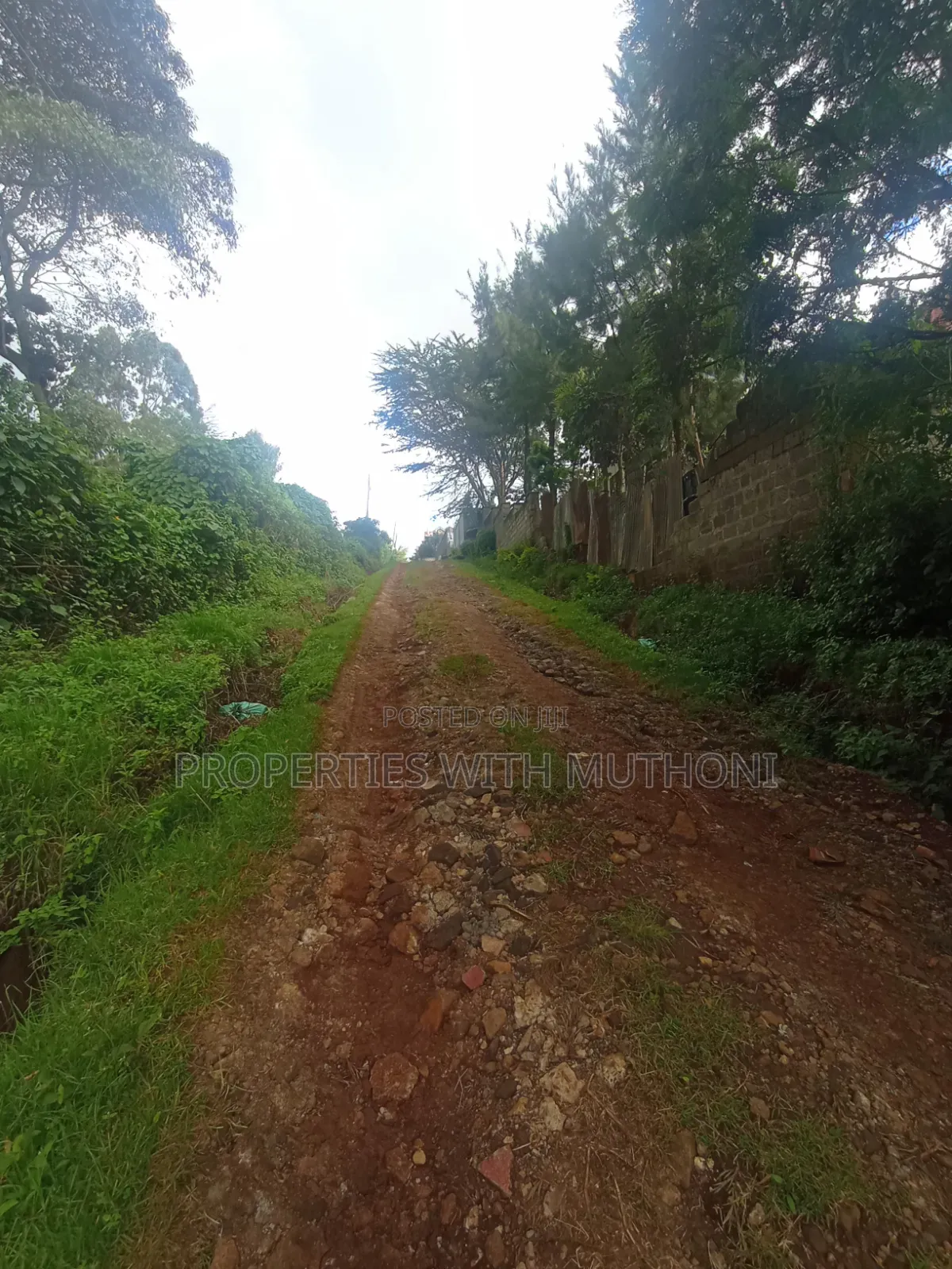 50×100 Plots for Sale in Lemiso Road, Ngong.