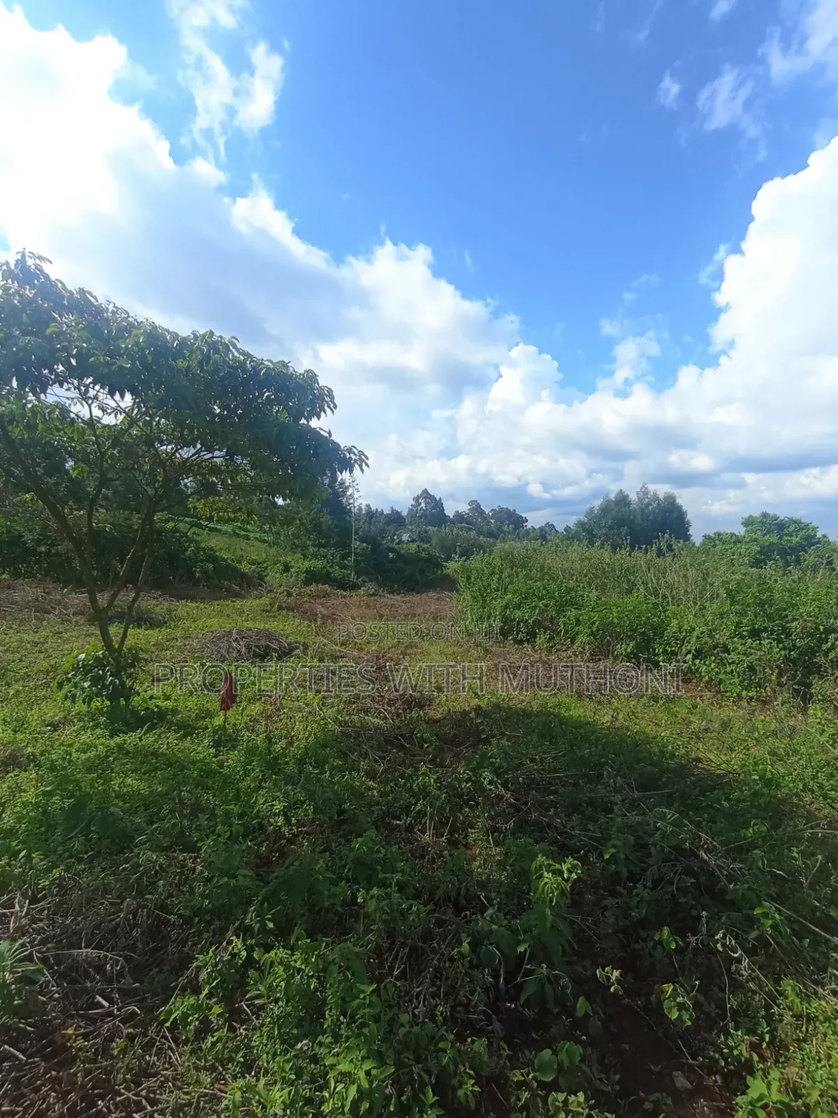 50×100 Plots for Sale in Lemiso Road, Ngong.