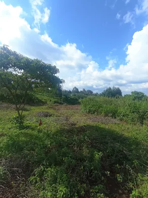 50×100 Plots for Sale in Lemiso Road, Ngong.