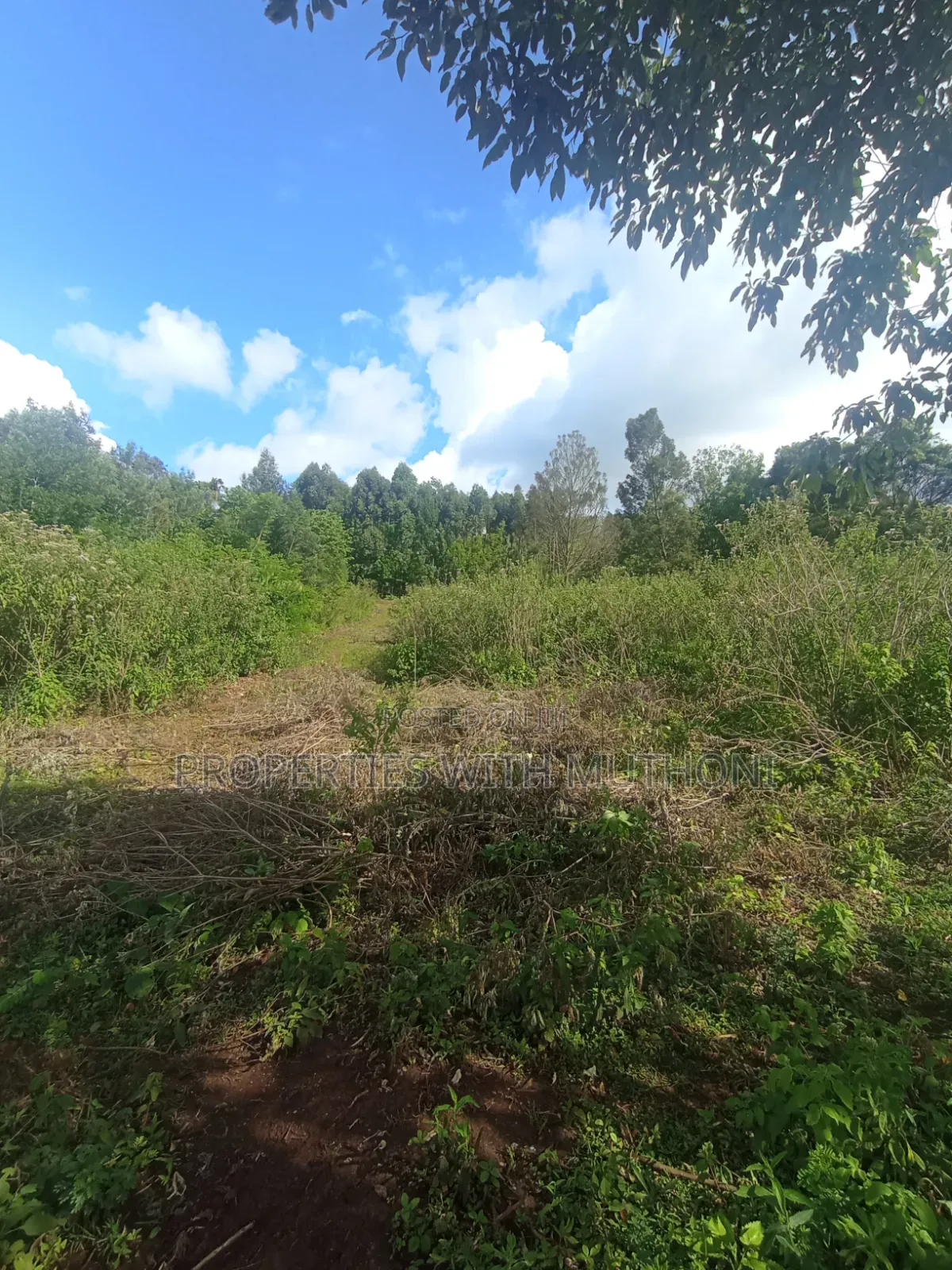 50×100 Plots for Sale in Lemiso Road, Ngong.