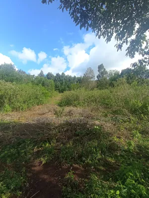 50×100 Plots for Sale in Lemiso Road, Ngong.