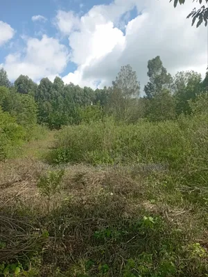50×100 Plots for Sale in Lemiso Road, Ngong.