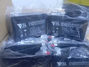 Esl Ups Battery 12v by 9ah Battery