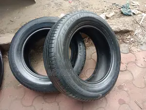 225/65r17 Dunlop