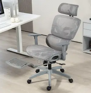 Modern Office Chair : White Executive Orthopedic Office Chair