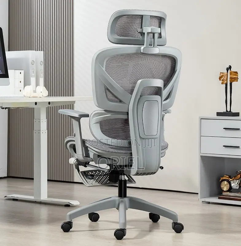 Modern Office Chair : White Executive Orthopedic Office Chair