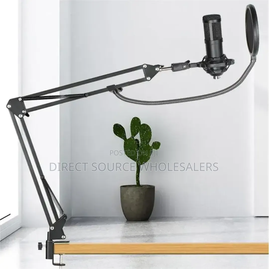 Bm800 Professional Condenser Microphone Kit