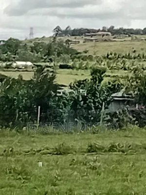 50 By 100 Plots For Sale In Kiserian