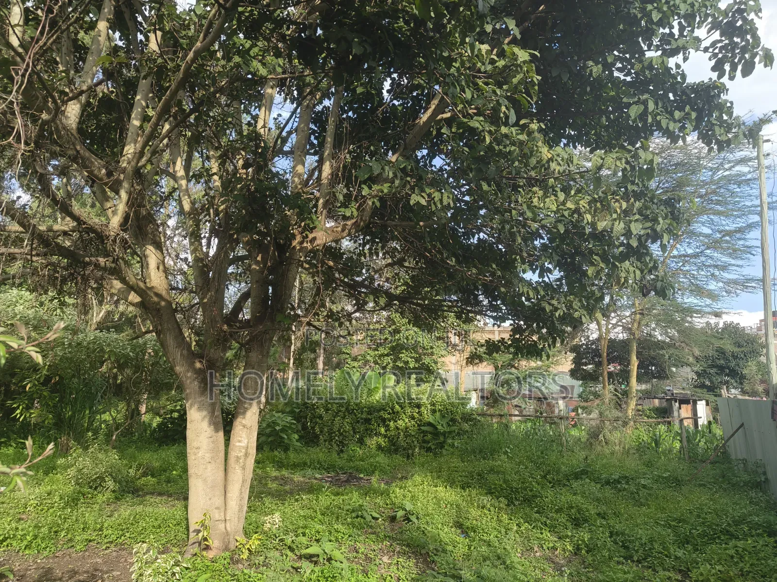 Commercial 8th Acre Plot for Sale in Ngong, Ebulbul Touching Tarmac