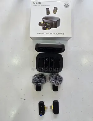 Qy88 Wireless Microphone –Eg
