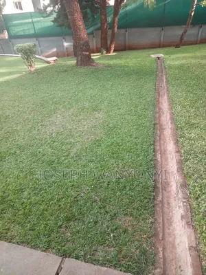 Lawn Mower Services /Cutting Grass and Gardening