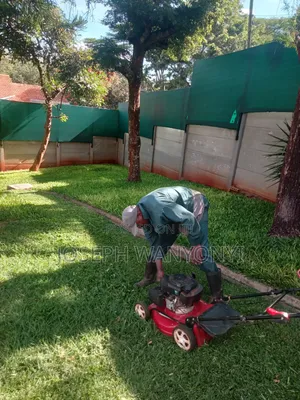 Lawn Mower Services /Cutting Grass and Gardening