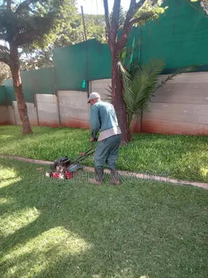 Lawn Mower Services /Cutting Grass and Gardening