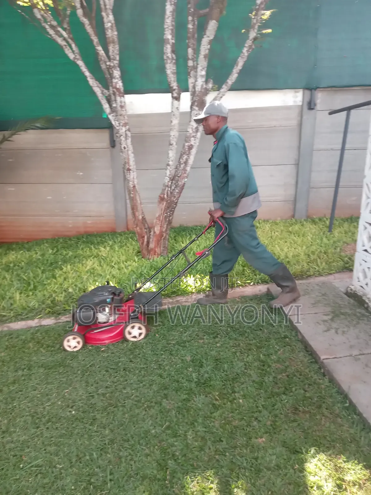 Lawn Mower Services /Cutting Grass and Gardening