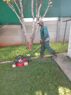 Lawn Mower Services /Cutting Grass and Gardening