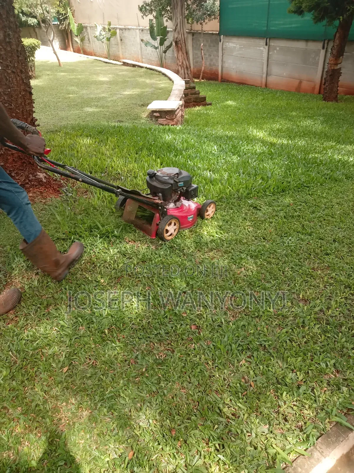 Lawn Mower Services /Cutting Grass and Gardening