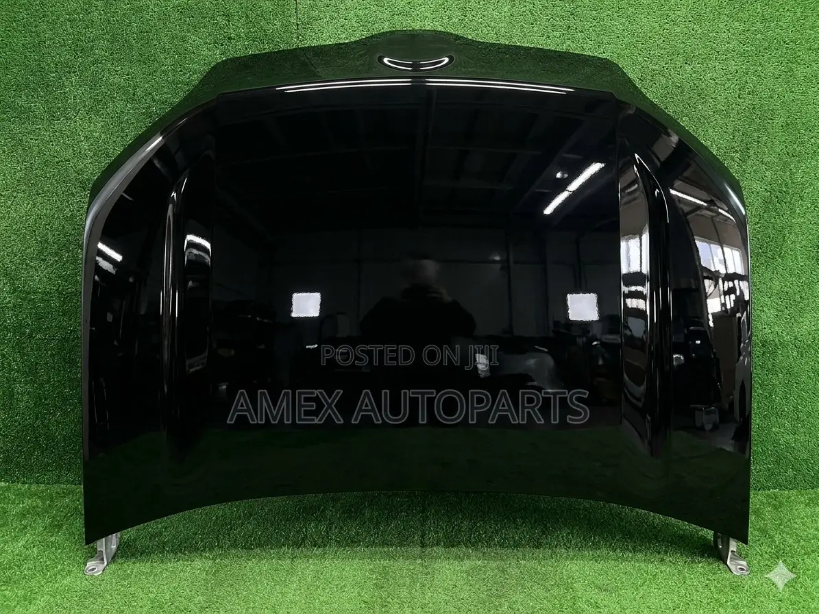 Bonnet Hood Toyota Probox Succeed 2014 Onwards