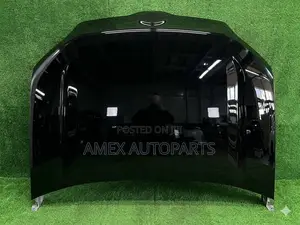 Bonnet Hood Toyota Probox Succeed 2014 Onwards