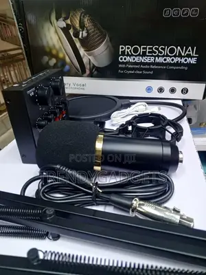 Bm-800 Studio Microphone Bundle With Live Sound Card V8