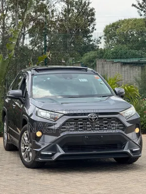 Toyota RAV4 Adventure 2019 Gray