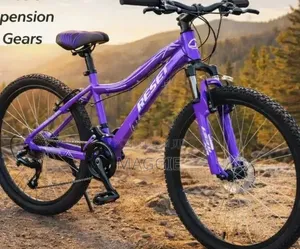 Reset 24" Mtb With Gear
