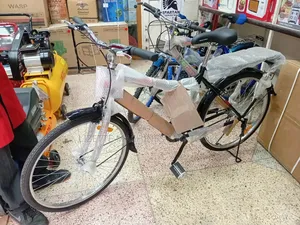 Premier Size 26 Black Mamba Bike