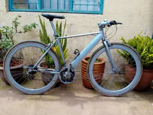 Hybrid Bicycle