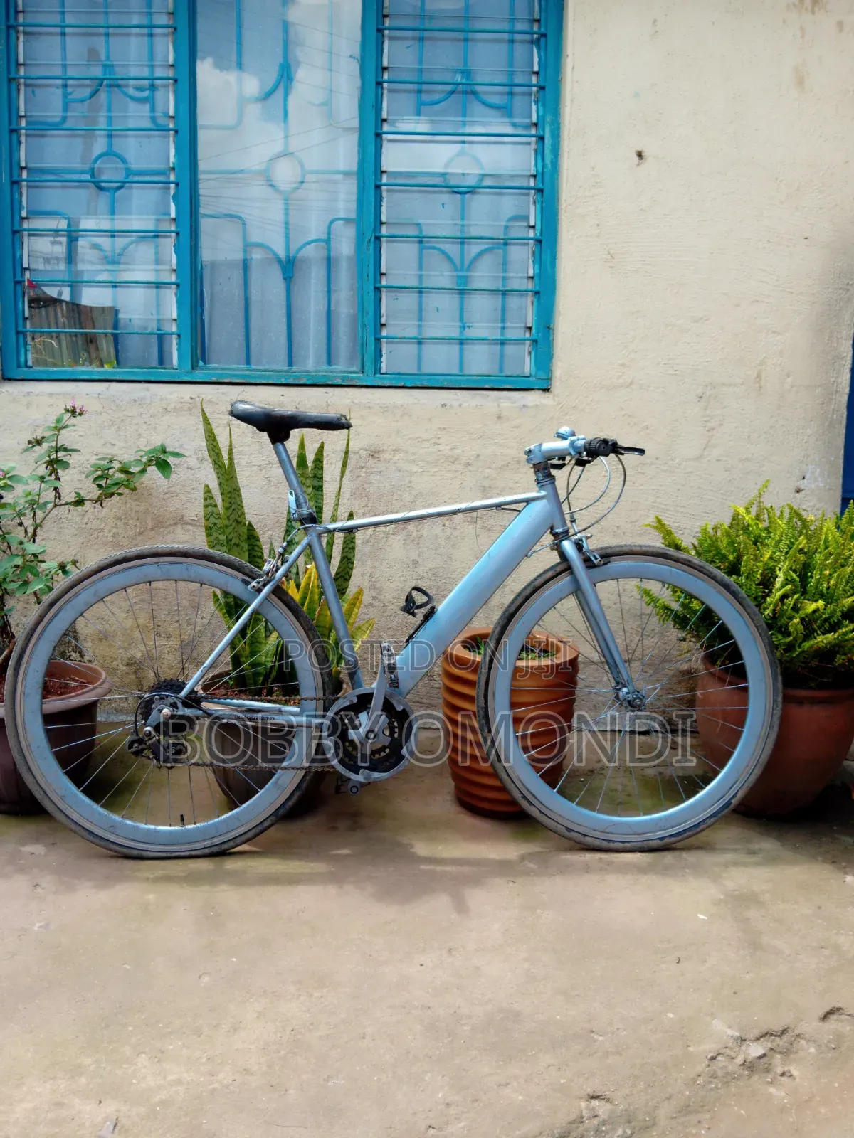 Hybrid Bicycle