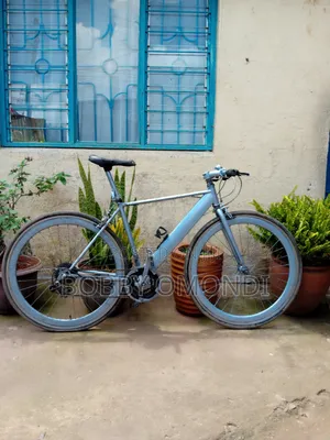 Hybrid Bicycle