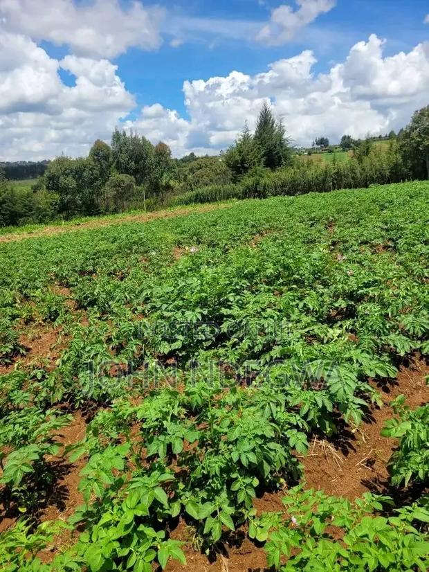 Naromoru Land for Sale