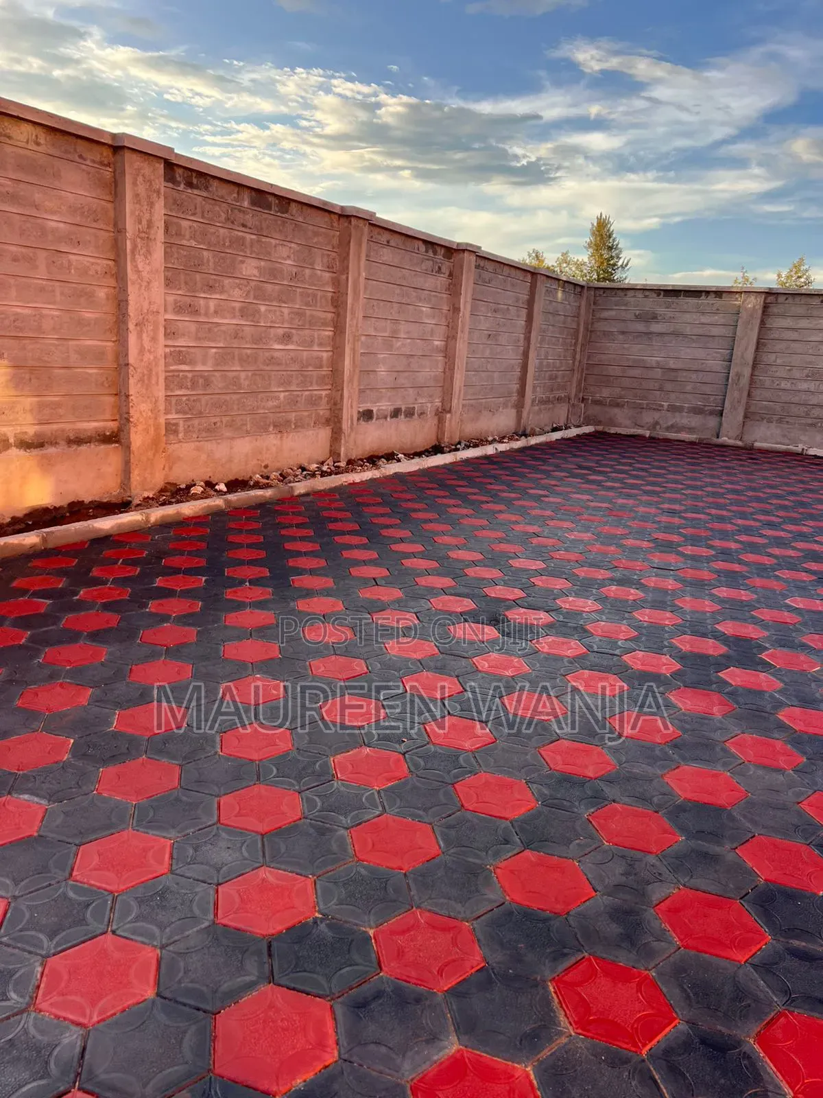 Hexagon Red and Black Cabro