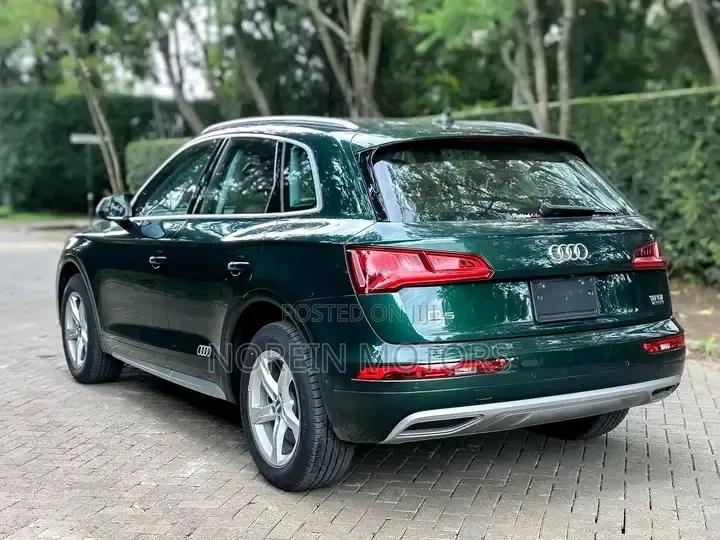 Audi Q5 2.0T Premium AWD quattro 2019 Green