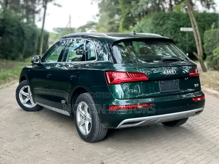 Audi Q5 2.0T Premium AWD quattro 2019 Green