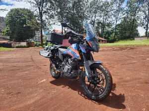KTM 2024 Orange