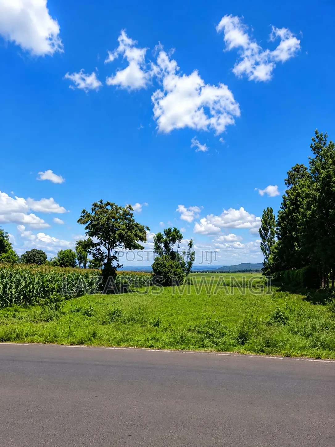 Half Acre of Land at Kandongu Kirinyaga Ready Title