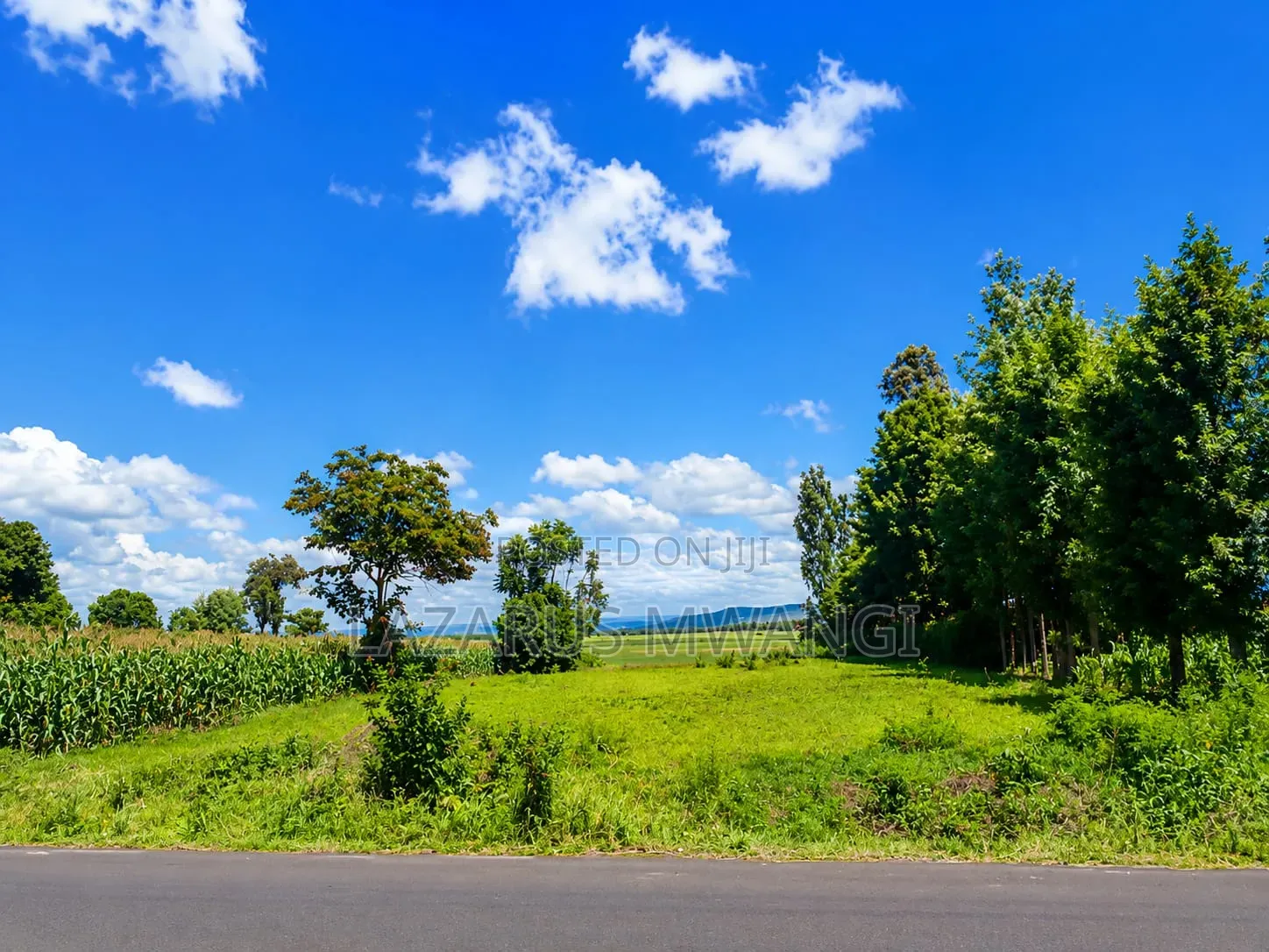 Half Acre of Land at Kandongu Kirinyaga Ready Title