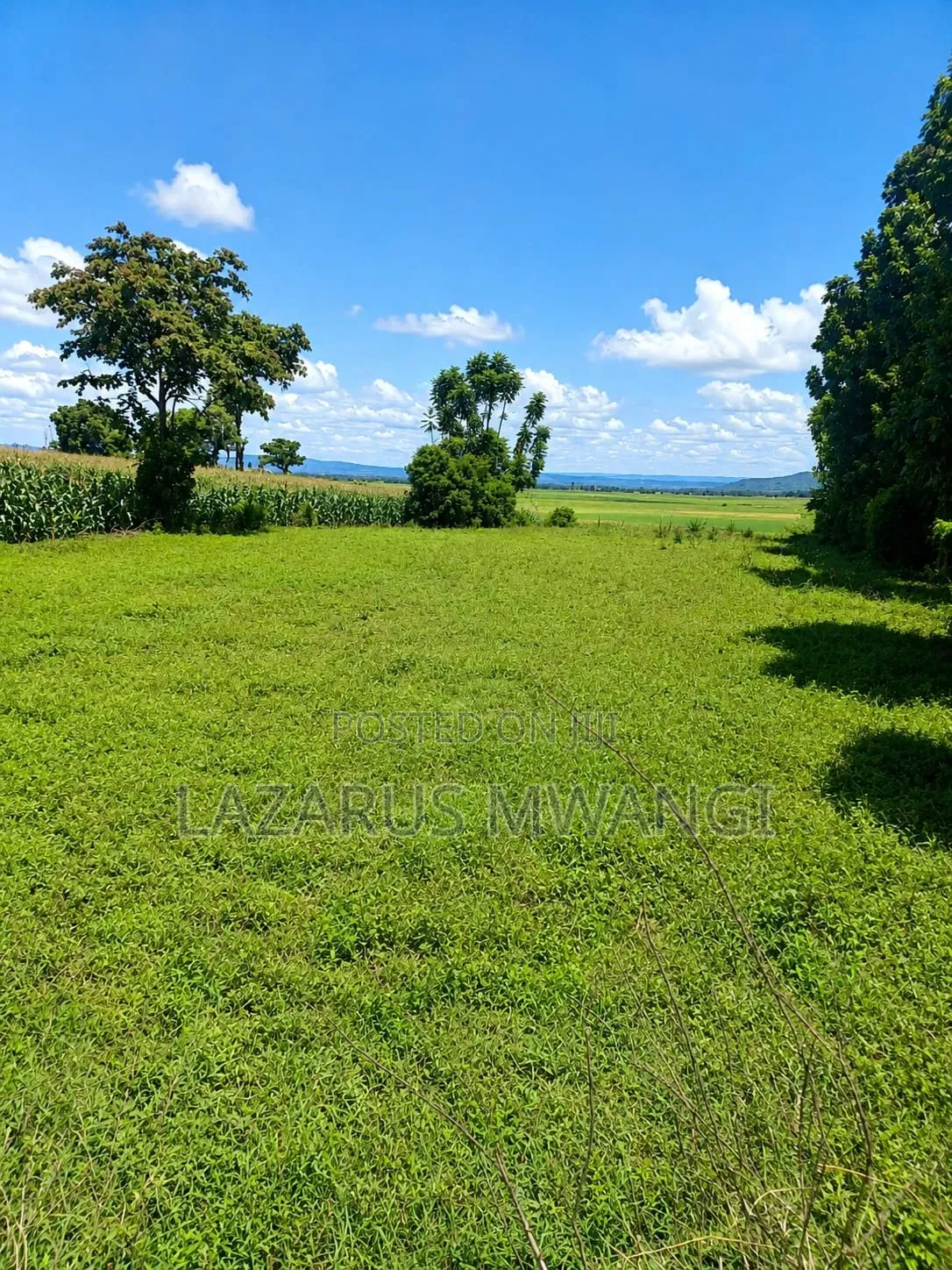 Half Acre of Land at Kandongu Kirinyaga Ready Title