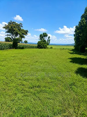 Half Acre of Land at Kandongu Kirinyaga Ready Title