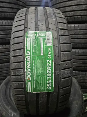 255/30r22 Dovroad 95w
