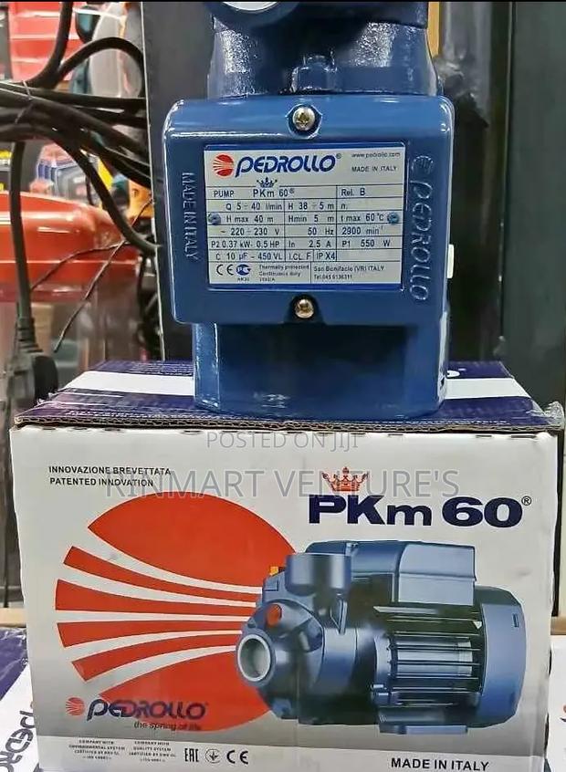 Certified Pedrollo Water Pump 0.5hp